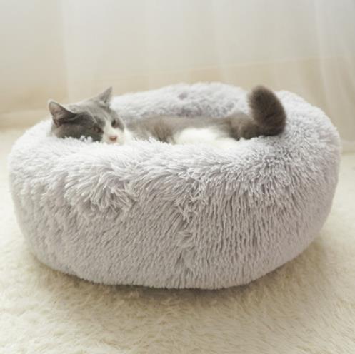 CAMA NUVEM | A CAMINHA MAIS AMADA DOS EUA!